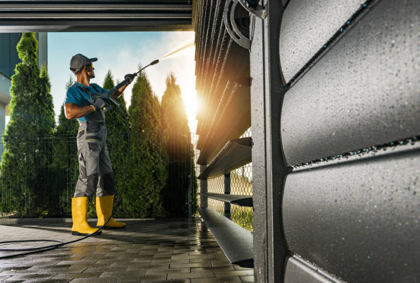 Best Pressure Washing Driveway  in Bloomfield, IA