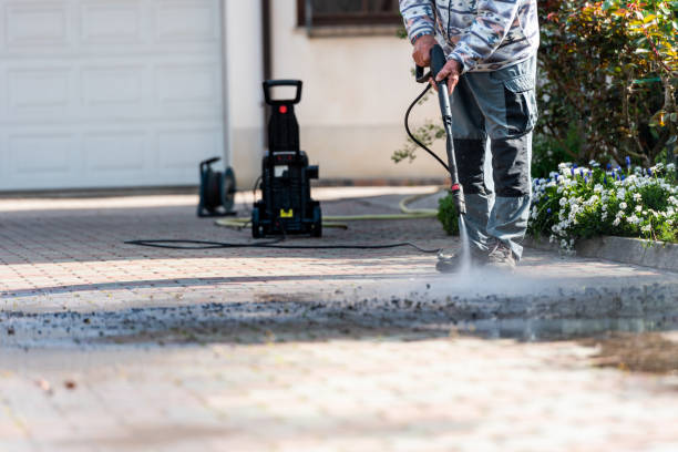 Best Exterior Home Cleaning  in Bloomfield, IA