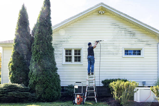 Best Commercial Building Pressure Washing  in Bloomfield, IA